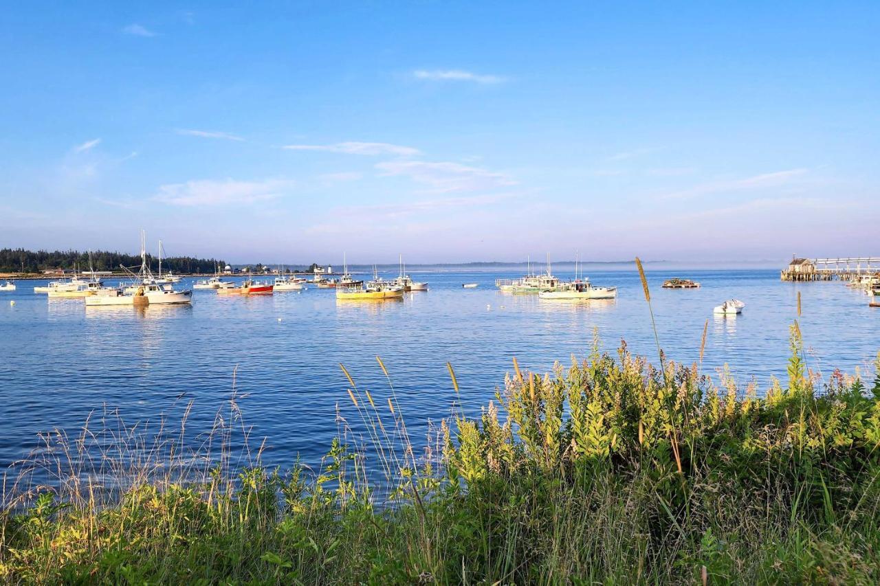Hidden Gem Cottage Near Blue Hill Peninsula Brooklin ภายนอก รูปภาพ
